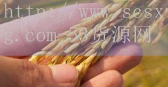 明日方舟断罪者咋获得_杨