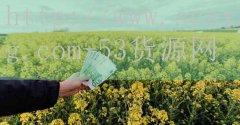 53货源网-全球大学前十位