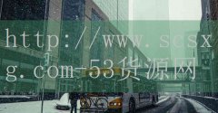 <strong>天津新商盟网上订货系统</strong>