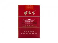 甲天下(软)香烟价格表图片大全