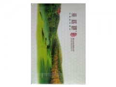 黄鹤楼(春·品道硬)香烟价格表图