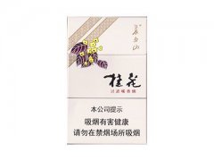 长白山(硬桂花)香烟价格表图片大