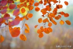 今天是8月26日。老人说：“我怕