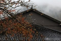 “大年初一怕下雨”？今天，八月