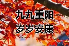 今天是重阳节。老人说，他最怕“