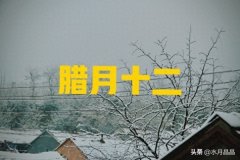 今天腊月十二下雪有什么