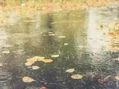 雨季江苏气温飙升，但昼夜温差大